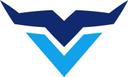 Veemi Accounting Solutions logo